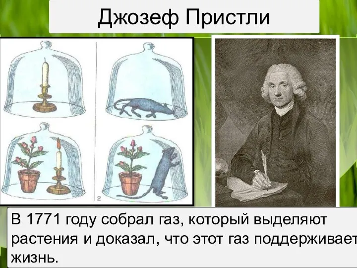 Джозеф Пристли В 1771 году собрал газ, который выделяют растения и доказал, что