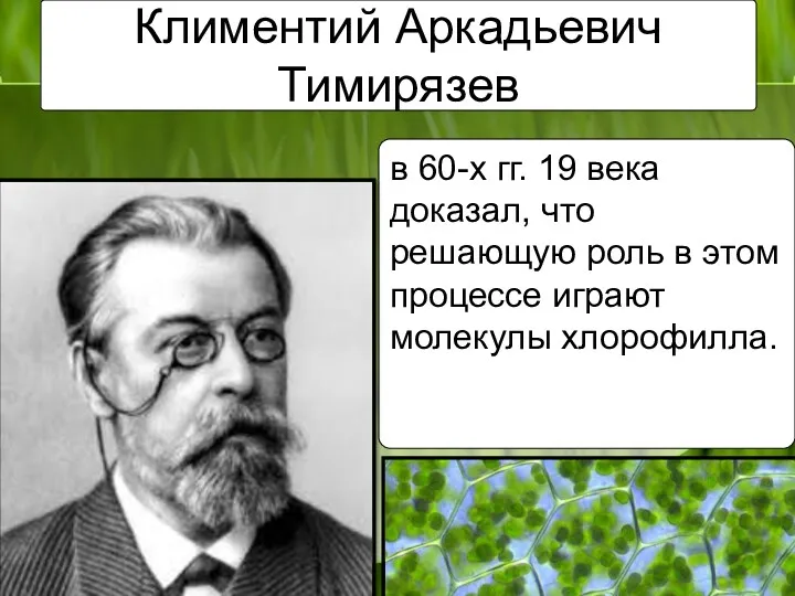 Климентий Аркадьевич Тимирязев в 60-х гг. 19 века доказал, что решающую роль в