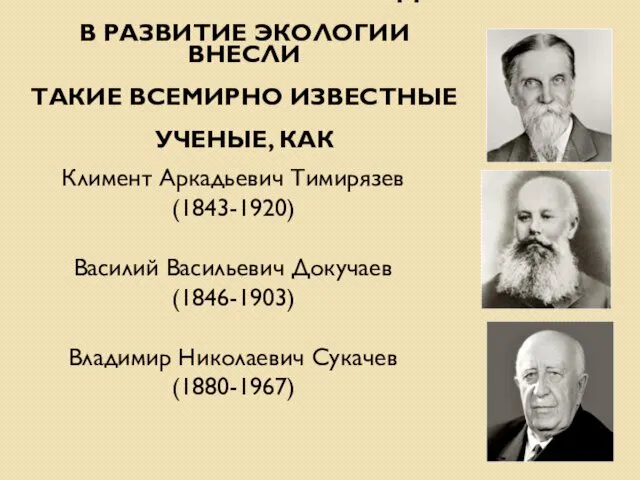 В XX В. БОЛЬШОЙ ВКЛАД В РАЗВИТИЕ ЭКОЛОГИИ ВНЕСЛИ ТАКИЕ