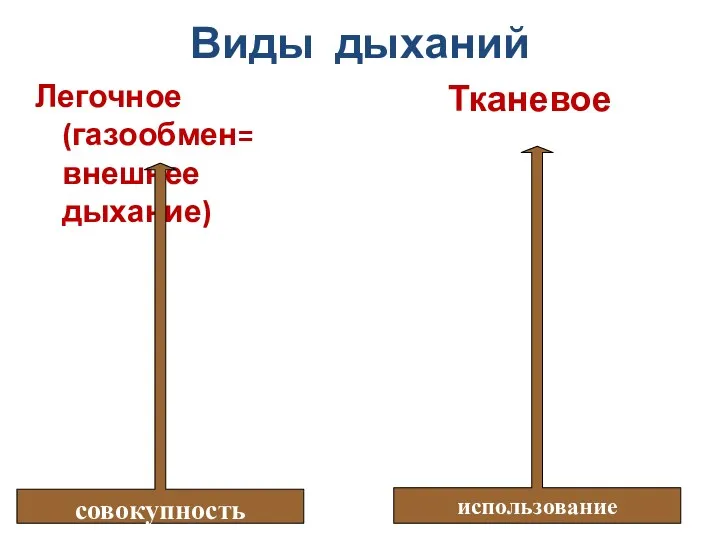 Легочное (газообмен= внешнее дыхание) Тканевое Виды дыханий совокупность процессов, обеспечивающих