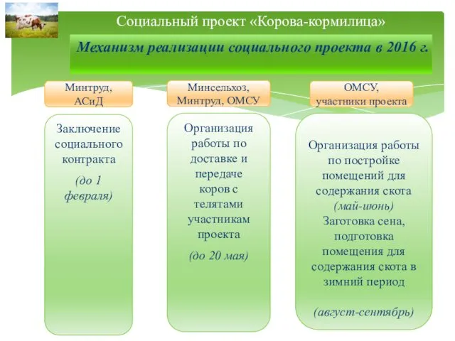 Механизм реализации социального проекта в 2016 г. Социальный проект «Корова-кормилица» Минтруд, АСиД Минсельхоз,