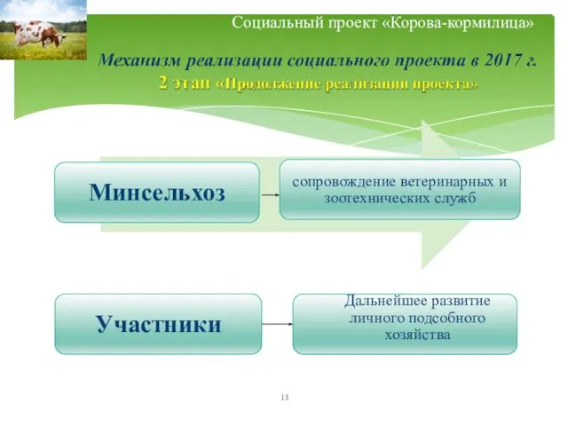 Социальный проект «Корова-кормилица»