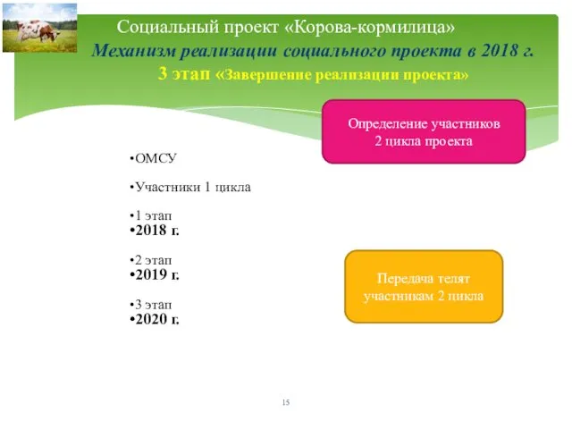 Механизм реализации социального проекта в 2018 г. 3 этап «Завершение реализации проекта» Социальный