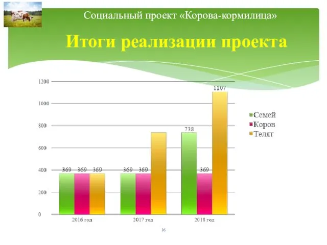 Итоги реализации проекта Социальный проект «Корова-кормилица»