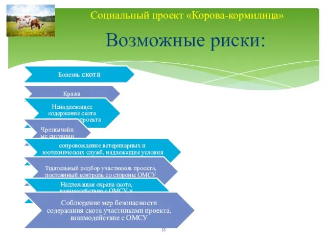 Болезнь скота Кража Ненадлежащее содержание скота участниками проекта Чрезвычайные ситуации