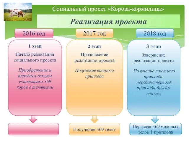 Реализация проекта Социальный проект «Корова-кормилица» 1 этап Начало реализации социального проекта Приобретение и