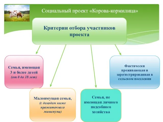 Критерии отбора участников проекта Семья, имеющая 3 и более детей (от 0 до