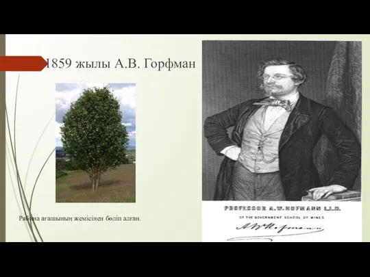 1859 жылы А.В. Горфман Рябина ағашының жемісінен бөліп алған.