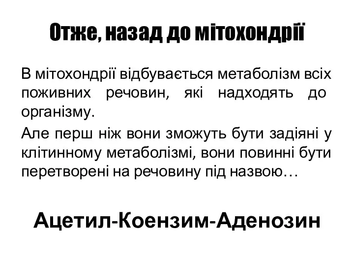 Отже, назад до мітохондрії В мітохондрії відбувається метаболізм всіх поживних