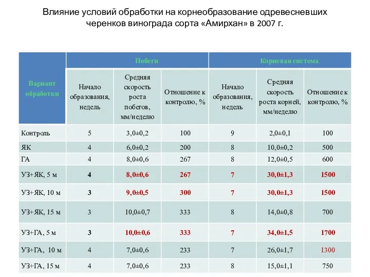 Влияние условий обработки на корнеобразование одревесневших черенков винограда сорта «Амирхан» в 2007 г.