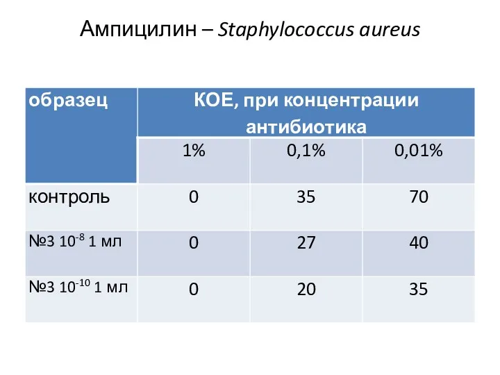 Ампицилин – Staphylococcus aureus