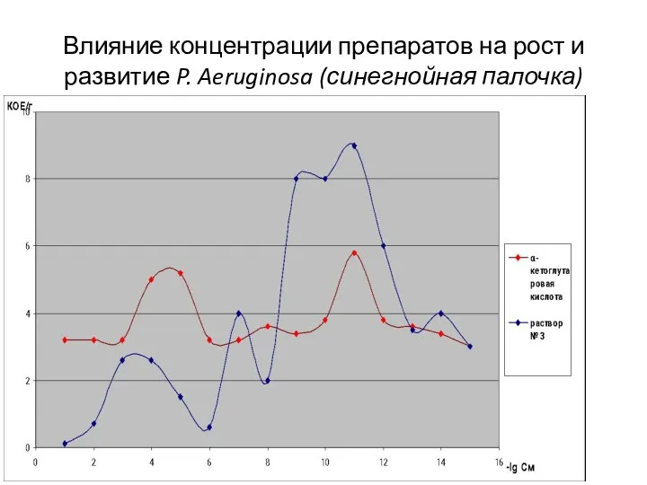 Влияние концентрации препаратов на рост и развитие P. Aeruginosa (синегнойная палочка)