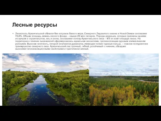 Лесные ресурсы Лесистость Архангельской области без островов Белого моря, Северного Ледовитого океана и