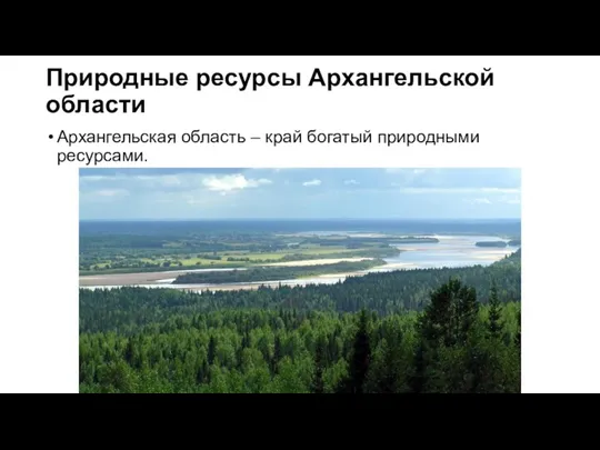 Природные ресурсы Архангельской области Архангельская область – край богатый природными ресурсами.