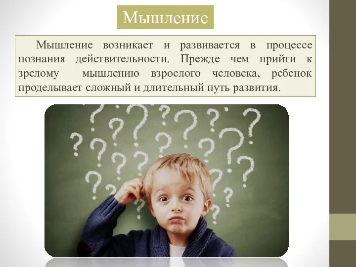 Мышление возникает и развивается в процессе познания действительности. Прежде чем