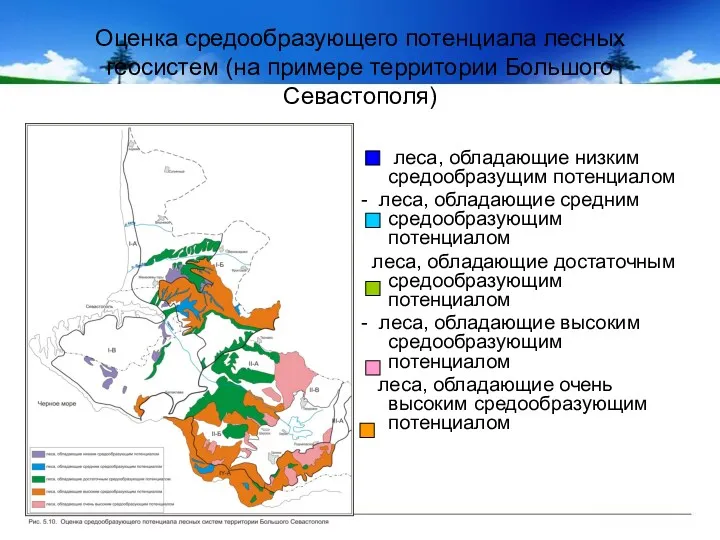 Оценка средообразующего потенциала лесных геосистем (на примере территории Большого Севастополя)