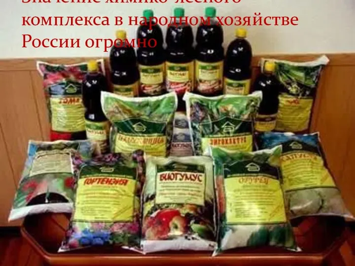 Значение химико-лесного комплекса в народном хозяйстве России огромно