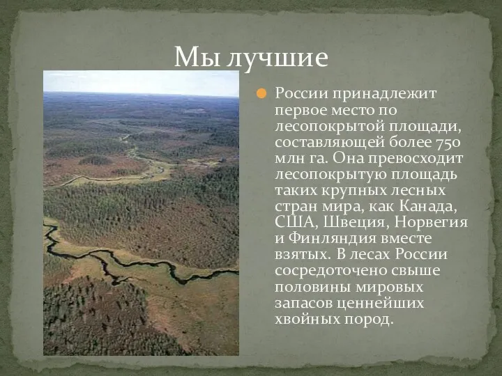 Мы лучшие России принадлежит первое место по лесопокрытой площади, составляющей более 750 млн