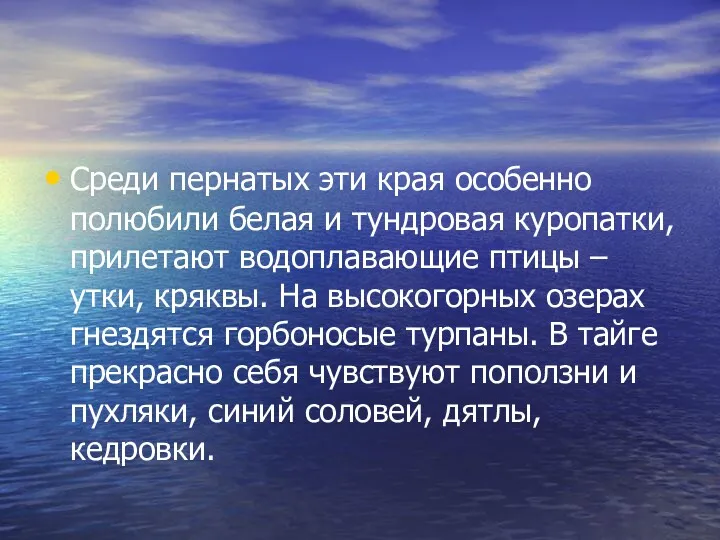 Среди пернатых эти края особенно полюбили белая и тундровая куропатки,