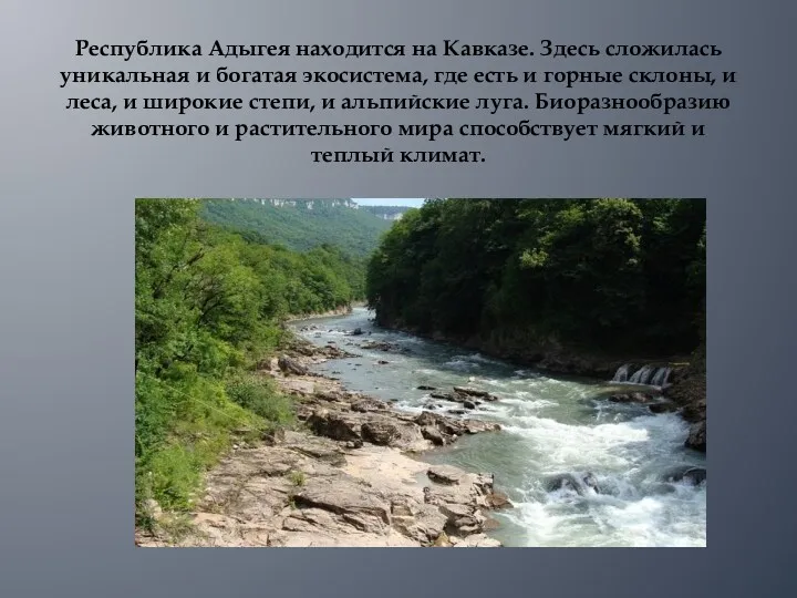 Республика Адыгея находится на Кавказе. Здесь сложилась уникальная и богатая