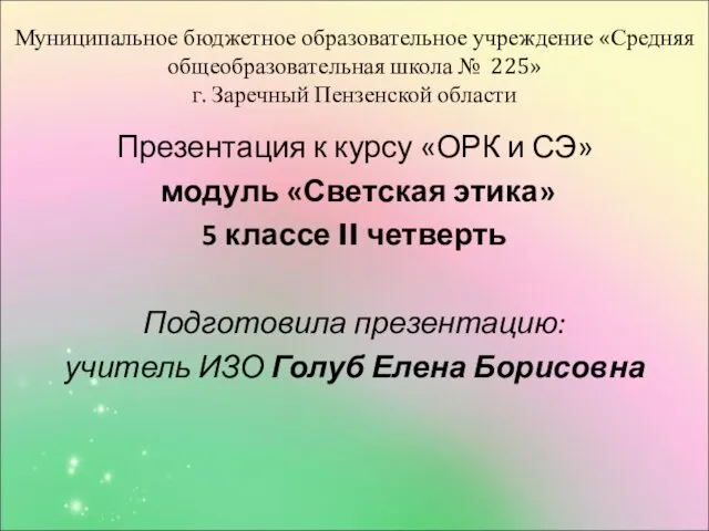 Муниципальное бюджетное образовательное учреждение «Средняя общеобразовательная школа № 225» г.