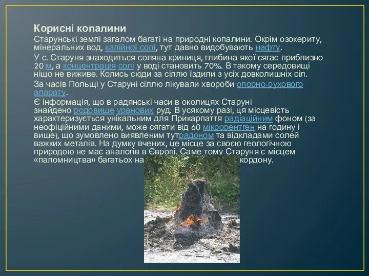 Корисні копалини Старунські землі загалом багаті на природні копалини. Окрім