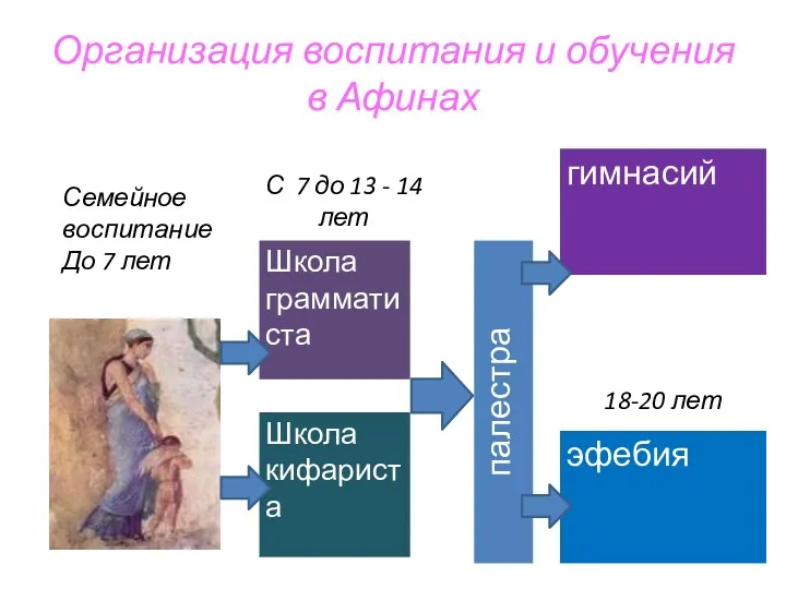 Организация воспитания и обучения в Афинах Школа грамматиста эфебия Школа