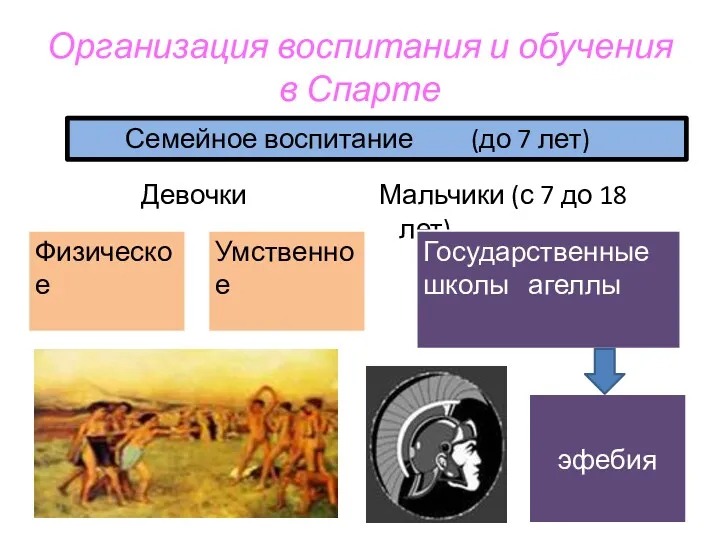 Организация воспитания и обучения в Спарте Девочки Мальчики (с 7