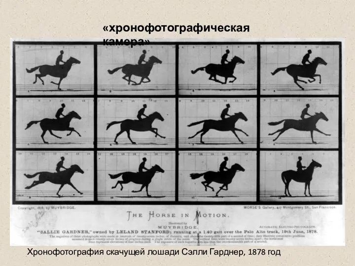 «хронофотографическая камера» Хронофотография скачущей лошади Сэлли Гарднер, 1878 год