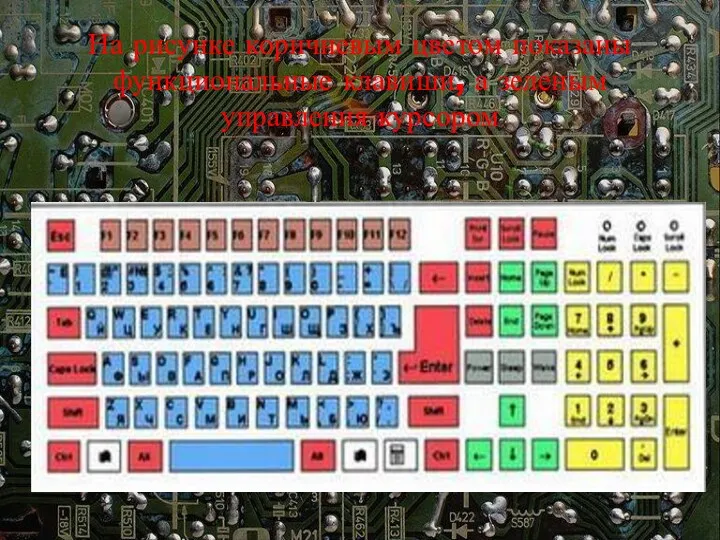 На рисунке коричневым цветом показаны функциональные клавиши, а зеленым управления курсором