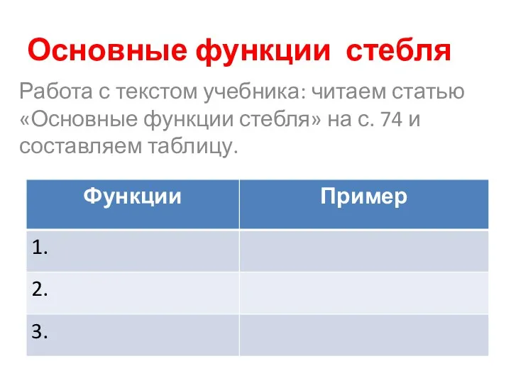 Основные функции стебля Работа с текстом учебника: читаем статью «Основные