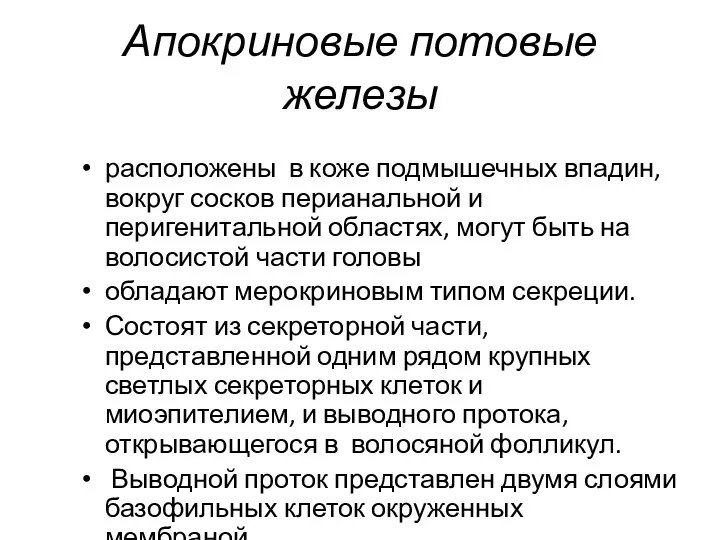 Апокриновые потовые железы расположены в коже подмышечных впадин, вокруг сосков