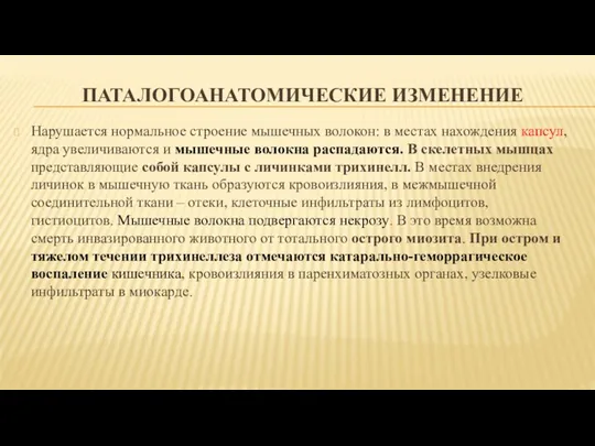 ПАТАЛОГОАНАТОМИЧЕСКИЕ ИЗМЕНЕНИЕ Нарушается нормальное строение мышечных волокон: в местах нахождения