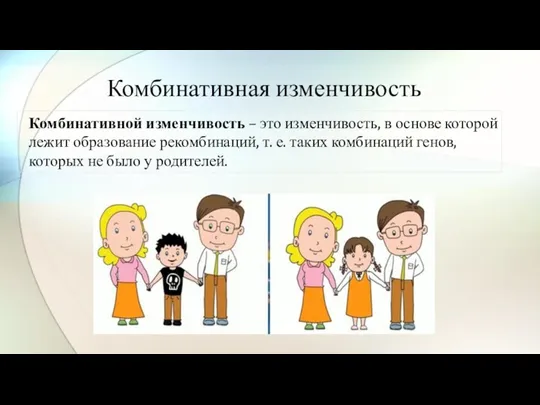 Комбинативная изменчивость Комбинативной изменчивость – это изменчивость, в основе которой лежит образование рекомбинаций,