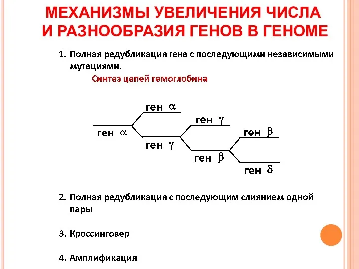 МЕХАНИЗМЫ УВЕЛИЧЕНИЯ ЧИСЛА И РАЗНООБРАЗИЯ ГЕНОВ В ГЕНОМЕ