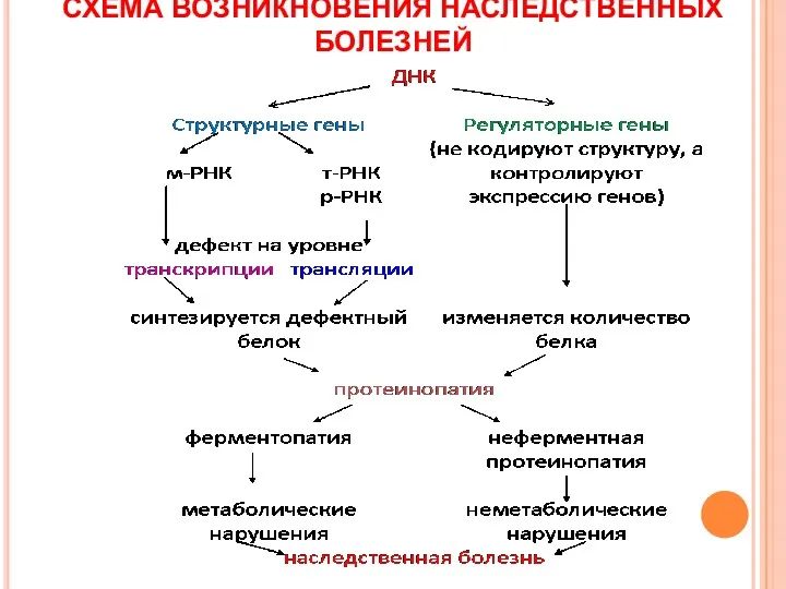 СХЕМА ВОЗНИКНОВЕНИЯ НАСЛЕДСТВЕННЫХ БОЛЕЗНЕЙ