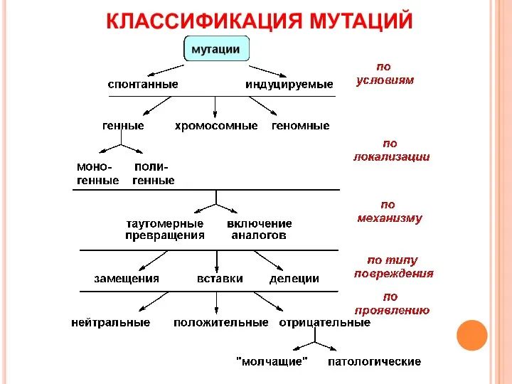 КЛАССИФИКАЦИЯ МУТАЦИЙ