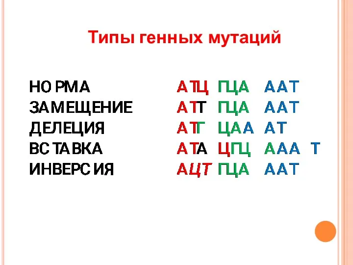 Типы генных мутаций