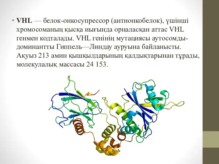 VHL — белок-онкосупрессор (антионкобелок), үшінші хромосоманың қысқа иығында орналасқан аттас