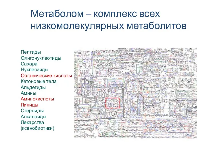 Пептиды Олигонуклеотиды Сахара Нуклеозиды Органические кислоты Кетоновые тела Альдегиды Амины