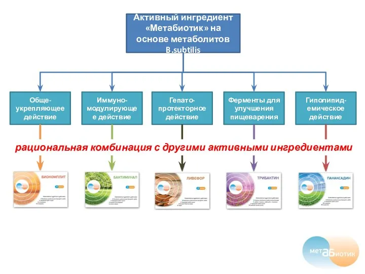 Активный ингредиент «Метабиотик» на основе метаболитов B.subtilis Обще-укрепляющее действие Иммуно-модулирующее