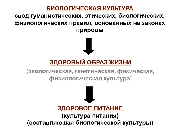 ЗДОРОВЫЙ ОБРАЗ ЖИЗНИ (экологическая, генетическая, физическая, физиологическая культура) ЗДОРОВОЕ ПИТАНИЕ