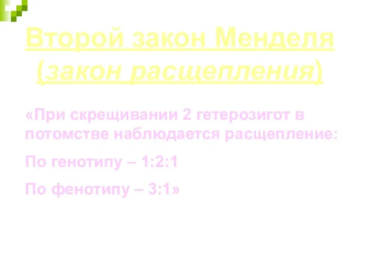 Второй закон Менделя (закон расщепления) «При скрещивании 2 гетерозигот в