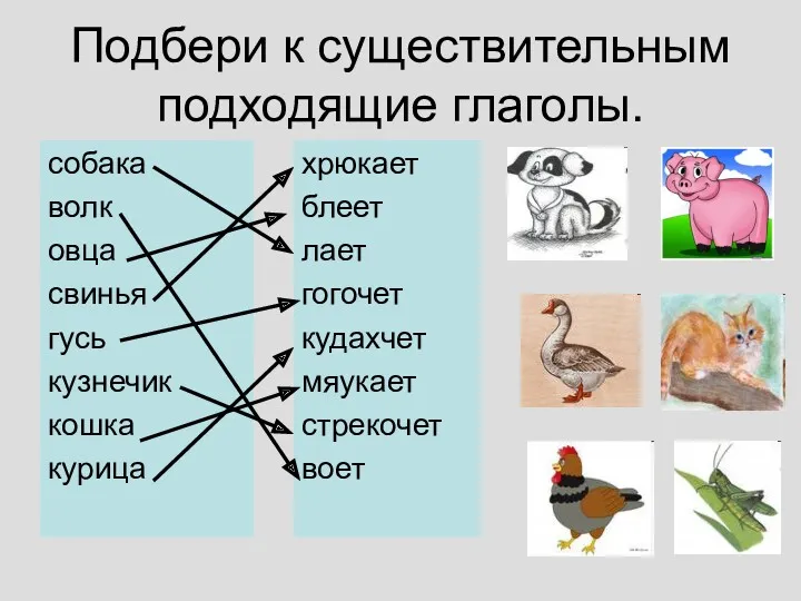 Подбери к существительным подходящие глаголы. собака волк овца свинья гусь