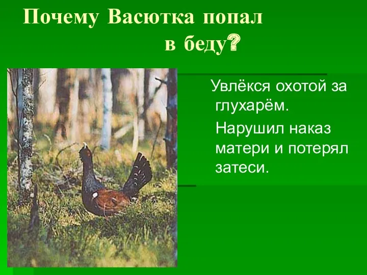 Почему Васютка попал в беду? Увлёкся охотой за глухарём. Нарушил наказ матери и потерял затеси.