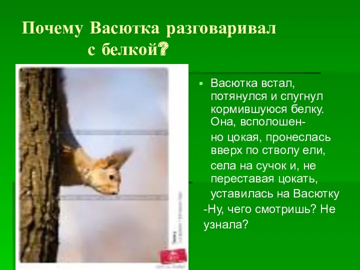 Почему Васютка разговаривал с белкой? Васютка встал,потянулся и спугнул кормившуюся