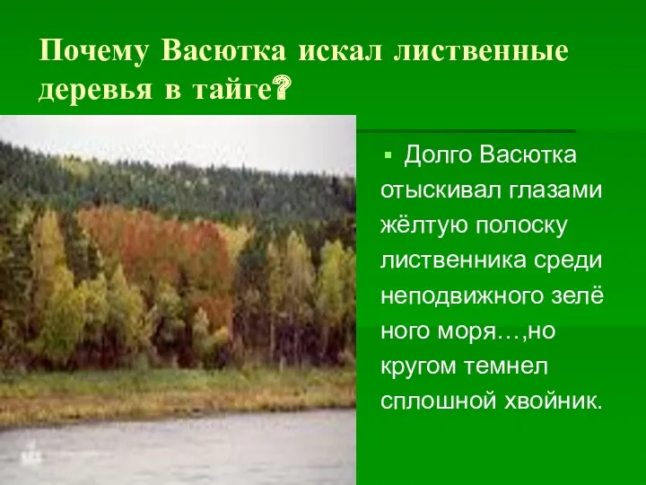 Почему Васютка искал лиственные деревья в тайге? Долго Васютка отыскивал