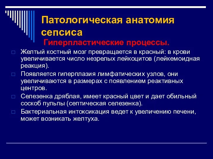 Патологическая анатомия сепсиса Гиперпластические процессы. Желтый костный мозг превращается в