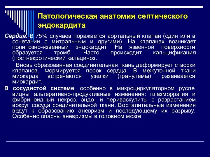 Патологическая анатомия септического эндокардита Сердце. В 75% случаев поражается аортальный