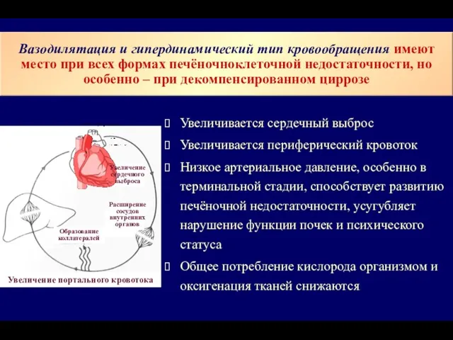 Увеличивается сердечный выброс Увеличивается периферический кровоток Низкое артериальное давление, особенно